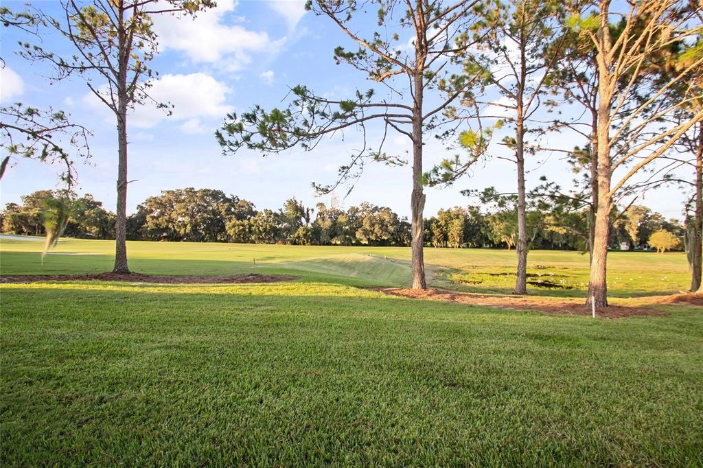 Photo of 3473 Sterling Street, The Villages, FL 32162 (MLS # G5102605)