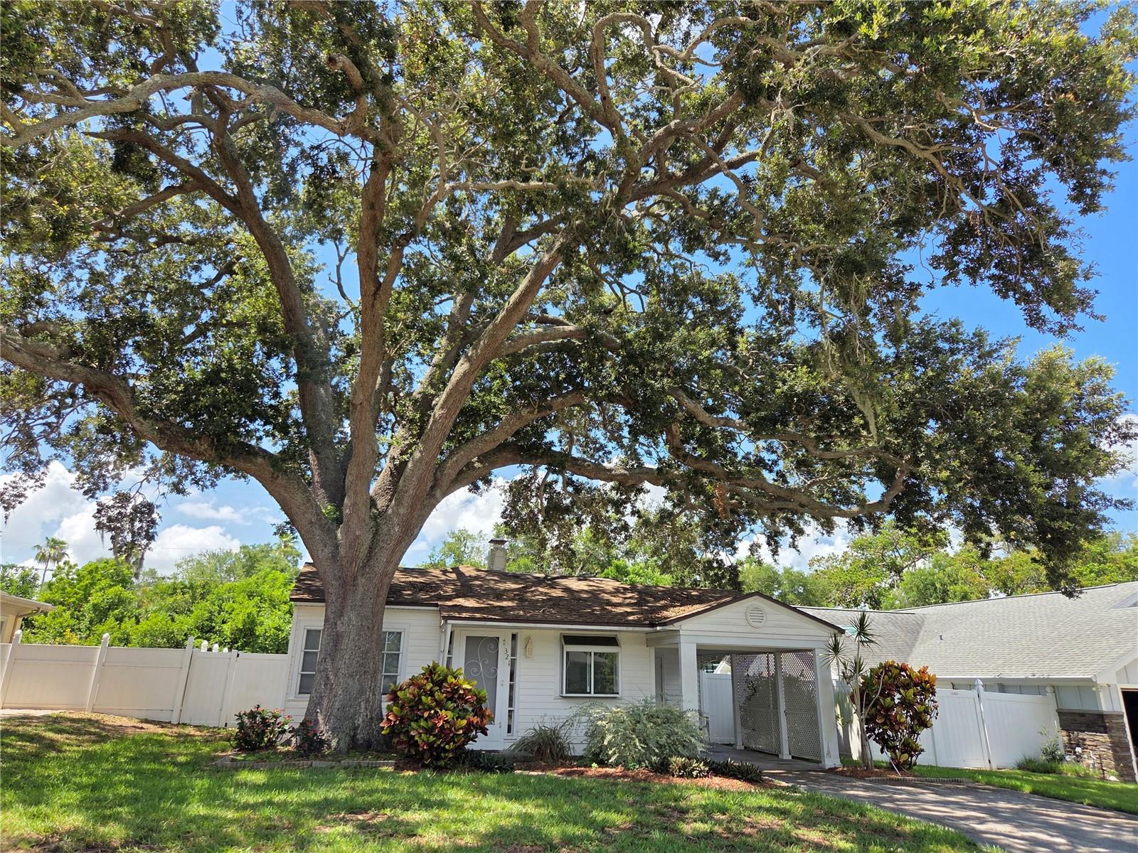 321 WILDWOOD WAY