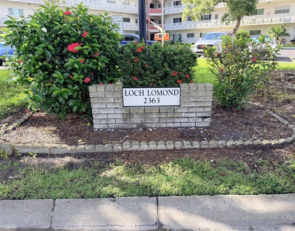 Photo of 2363 Israeli Drive #33, Clearwater, FL 33763 (MLS # TB8554412)