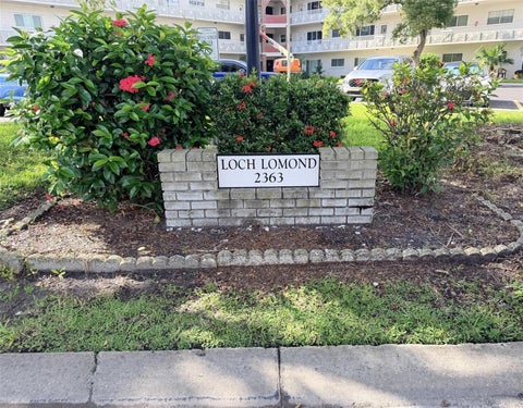 Photo of 2363 Israeli Drive #33, Clearwater, FL 33763 (MLS # TB8554412)