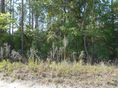 SW 51ST LANE DUNNELLON FL 34432