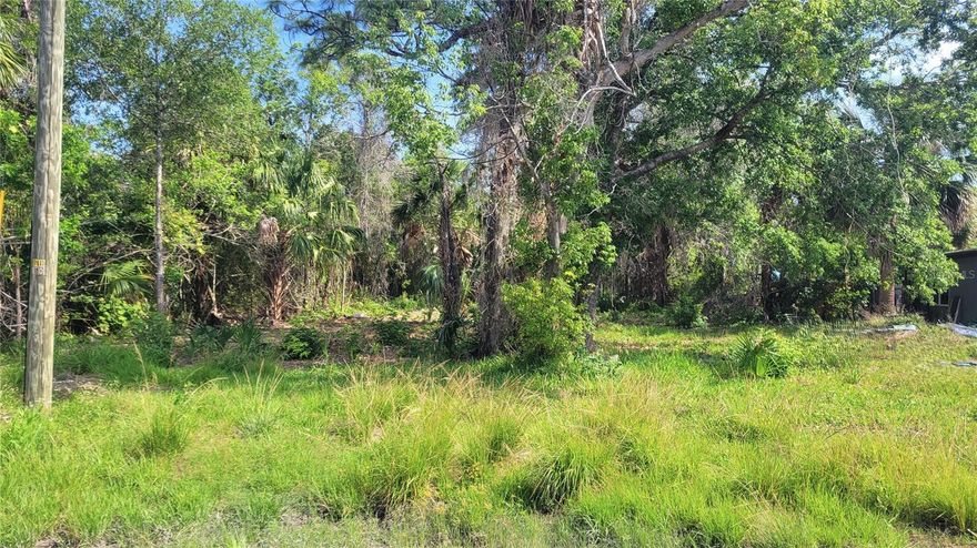 Great lot at the end of a quiet street, has been in the family for a long time. Recently thinned out and ready to start building, no neighbors to the left of the lot. Optional Sea Pines community boat ramp on Mako Dr. for $100/year with less than a mile to the ramp. Access to the Gulf of Mexico through a maintained & marked channel. Sea Pines offers an optional civic association for a community feel without the restrictions of an HOA.