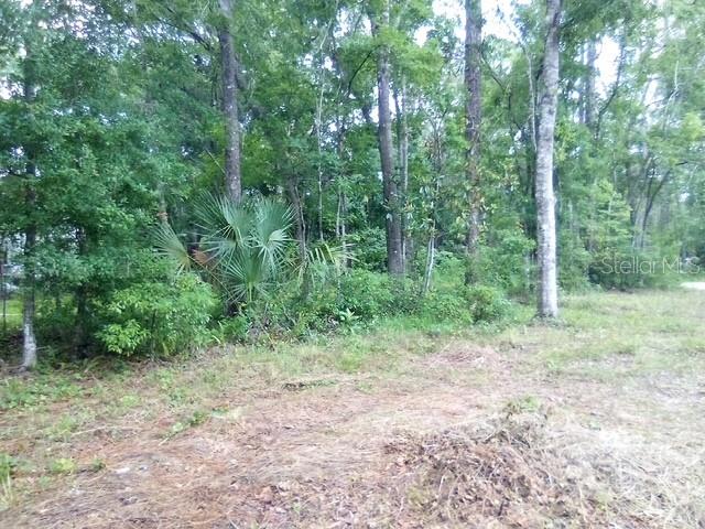 MOON LAKE ESTATES - Land