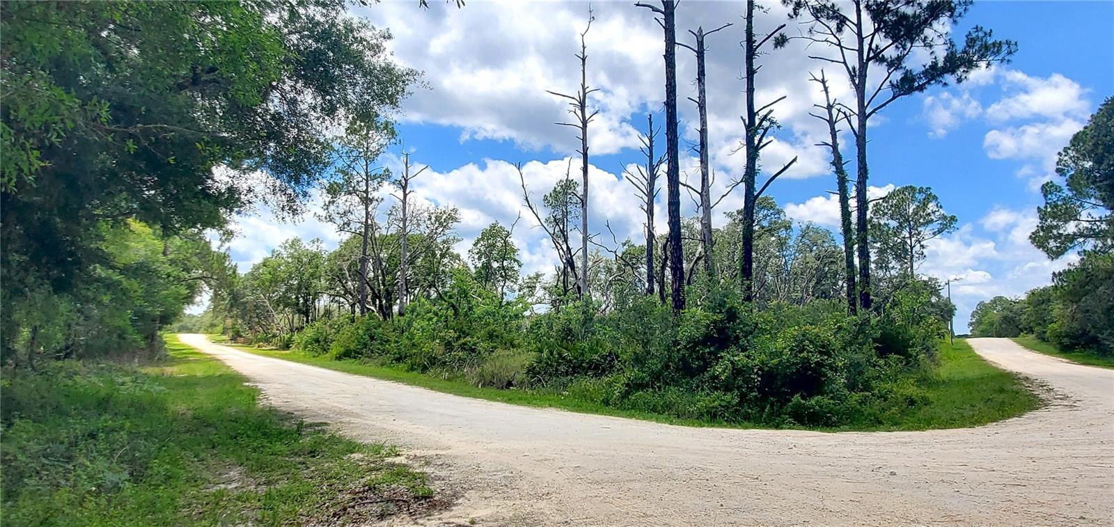 Don’t miss this opportunity to own a beautiful corner lot 1.16-acre in the peaceful and growing community of Ridge Manor Estates, located in scenic Hernando County. Nestled on Coral Rock Drive, this beautiful parcel offers the perfect blend of privacy, natural surroundings, and paved road access ideal for building your custom dream home or holding as a smart long-term investment.
Surrounded by natural beauty, this vacant lot offers a tranquil slice of Florida living with no HOA and zoning for single-family residential use. Enjoy the serenity of rural life while staying close to modern conveniences, just minutes from State Road 50 and I-75, providing easy access to Brooksville, Tampa, and Orlando.
With new construction happening nearby, the area is showing clear signs of growth and potential. Whether you're ready to build now or looking to invest in Florida land with upside, this property checks all the boxes.