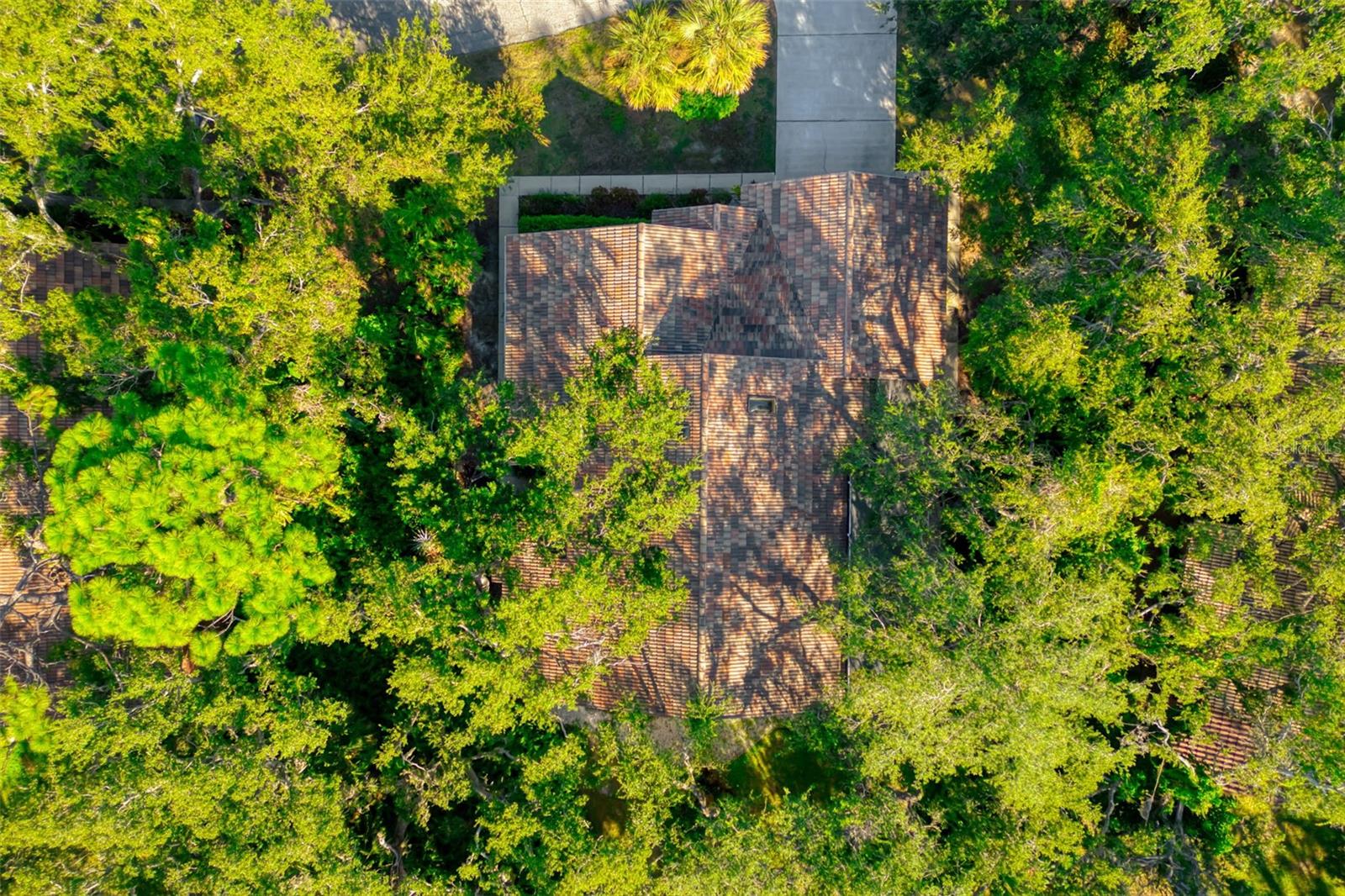 LONGWOOD VILLAS - Residential