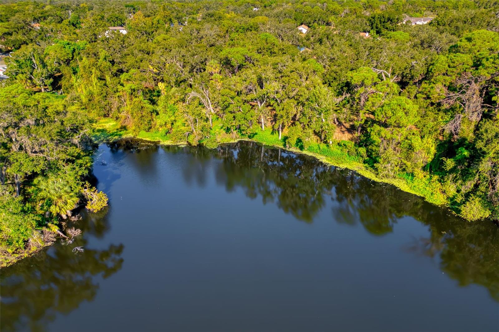 LONGWOOD VILLAS - Residential