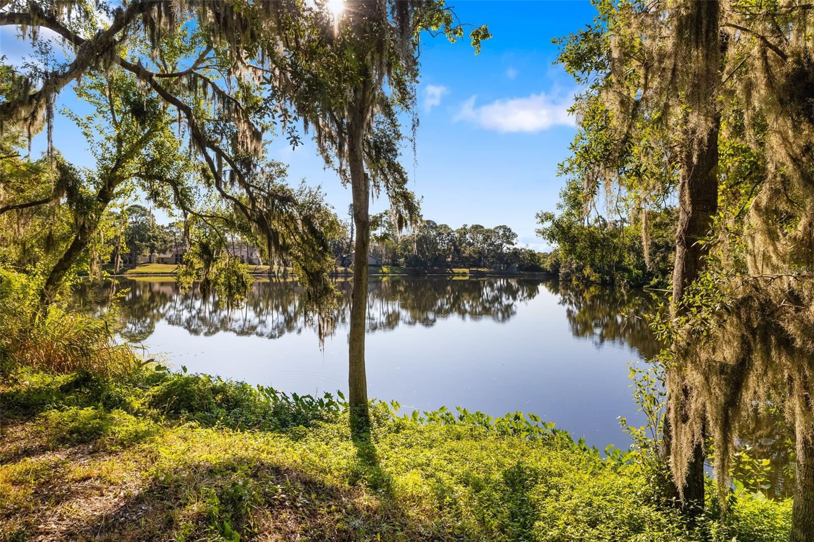 LONGWOOD VILLAS - Residential