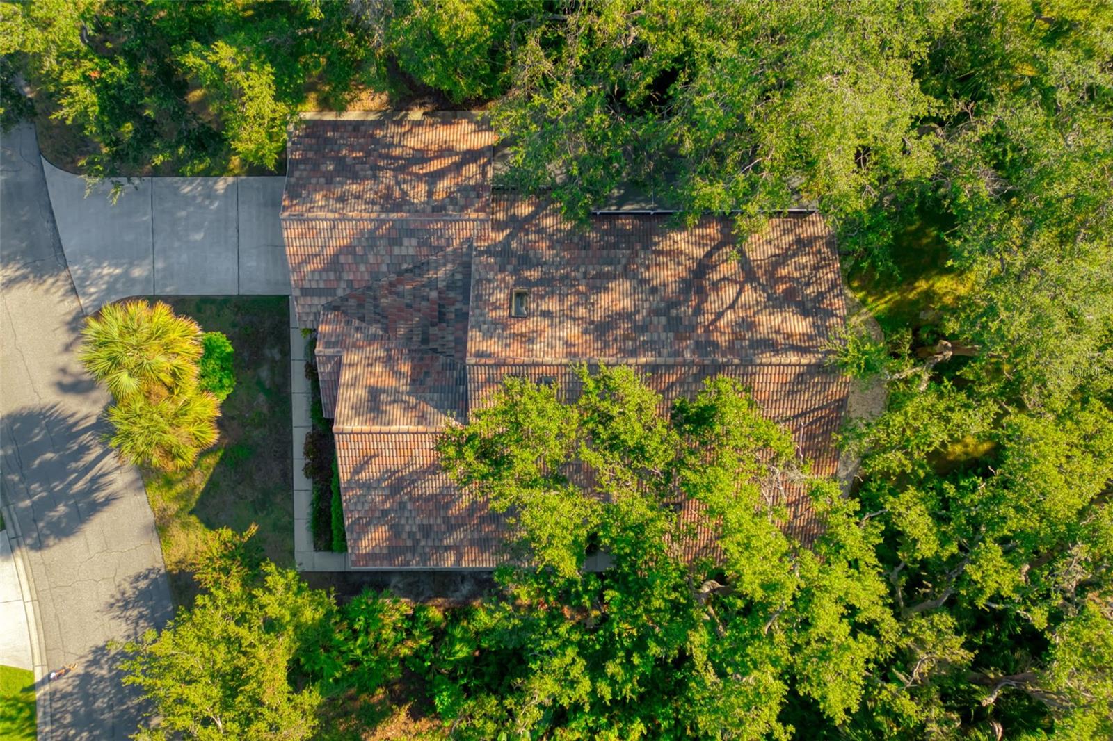 LONGWOOD VILLAS - Residential