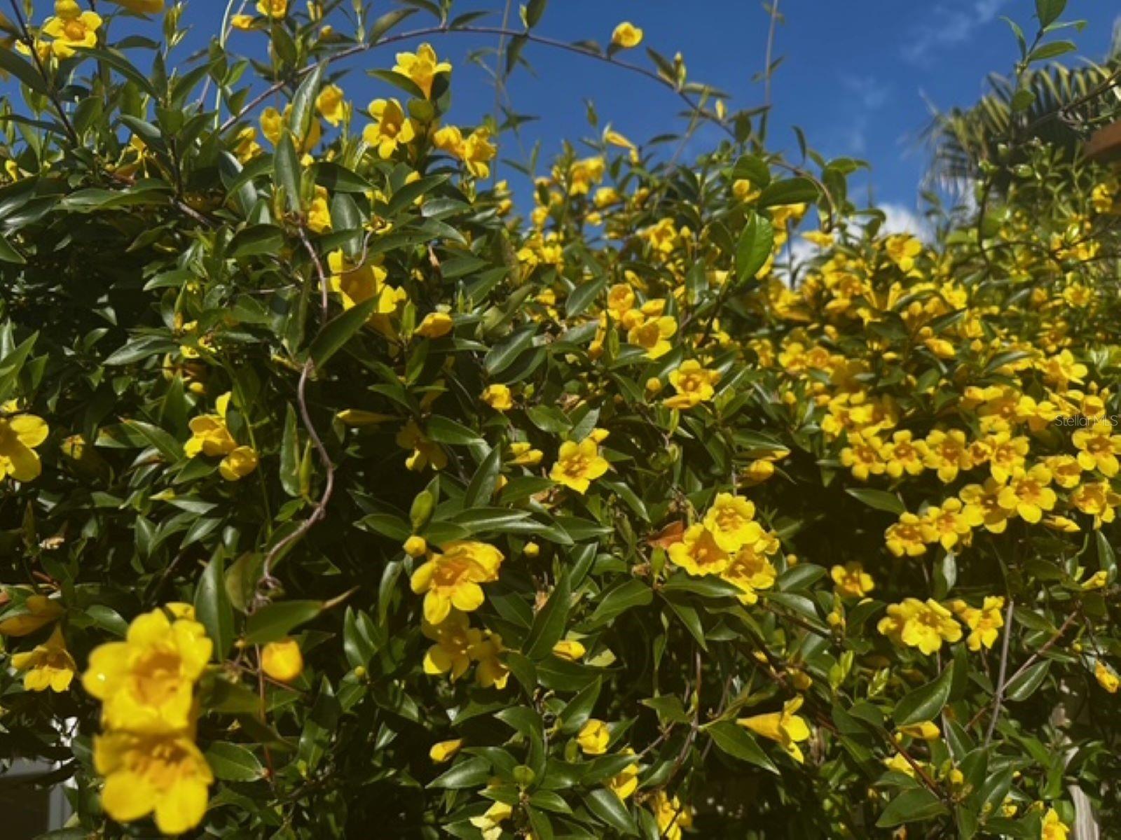 SUGAR MILL LAKES PH 1 - Residential