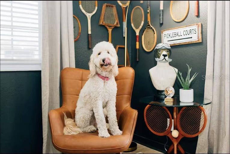 SUBURB ROYAL - Residential Lease