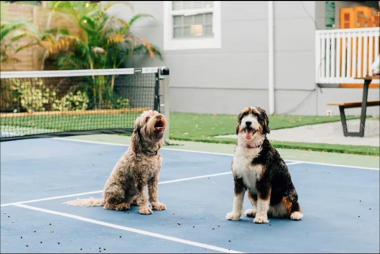 SUBURB ROYAL - Residential Lease