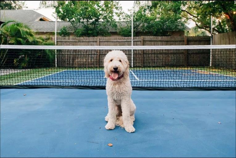 SUBURB ROYAL - Residential Lease