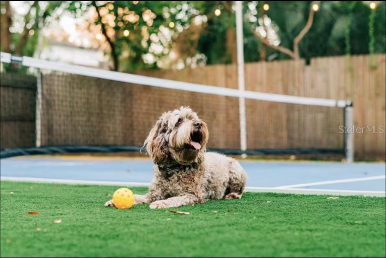 SUBURB ROYAL - Residential Lease