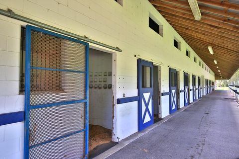 Tiny photo for 12219 SW 26th Street, Ocala, FL 34481 (MLS # OM706524)