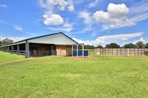 Tiny photo for 12219 SW 26th Street, Ocala, FL 34481 (MLS # OM706524)