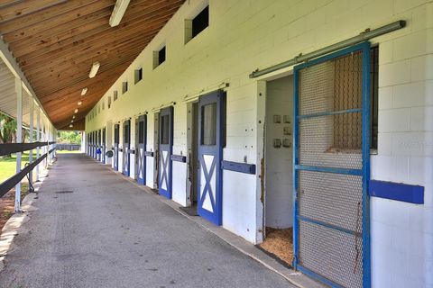 Tiny photo for 12219 SW 26th Street, Ocala, FL 34481 (MLS # OM706524)