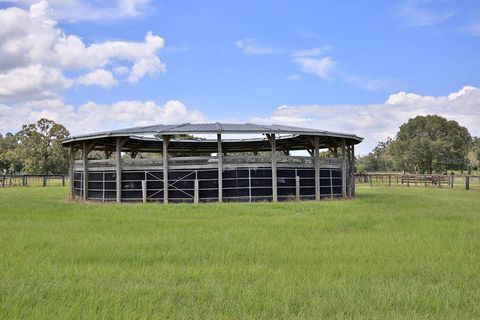 Tiny photo for 12219 SW 26th Street, Ocala, FL 34481 (MLS # OM706524)