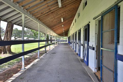 Tiny photo for 12219 SW 26th Street, Ocala, FL 34481 (MLS # OM706524)