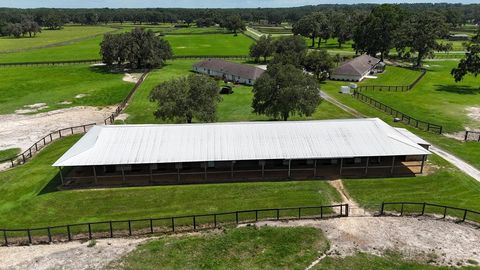 Tiny photo for 12219 SW 26th Street, Ocala, FL 34481 (MLS # OM706524)