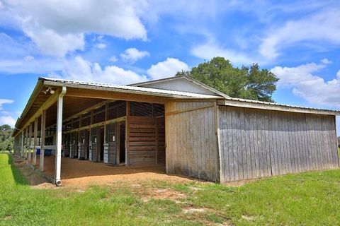 Tiny photo for 12219 SW 26th Street, Ocala, FL 34481 (MLS # OM706524)