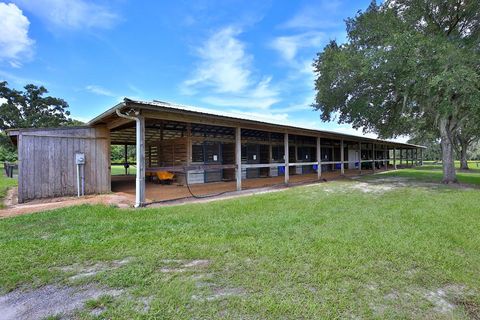 Tiny photo for 12219 SW 26th Street, Ocala, FL 34481 (MLS # OM706524)