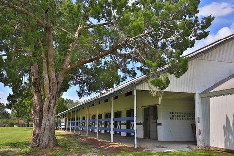 Tiny photo for 12219 SW 26th Street, Ocala, FL 34481 (MLS # OM706524)