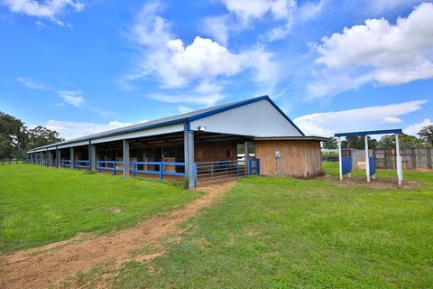 Tiny photo for 12219 SW 26th Street, Ocala, FL 34481 (MLS # OM706524)