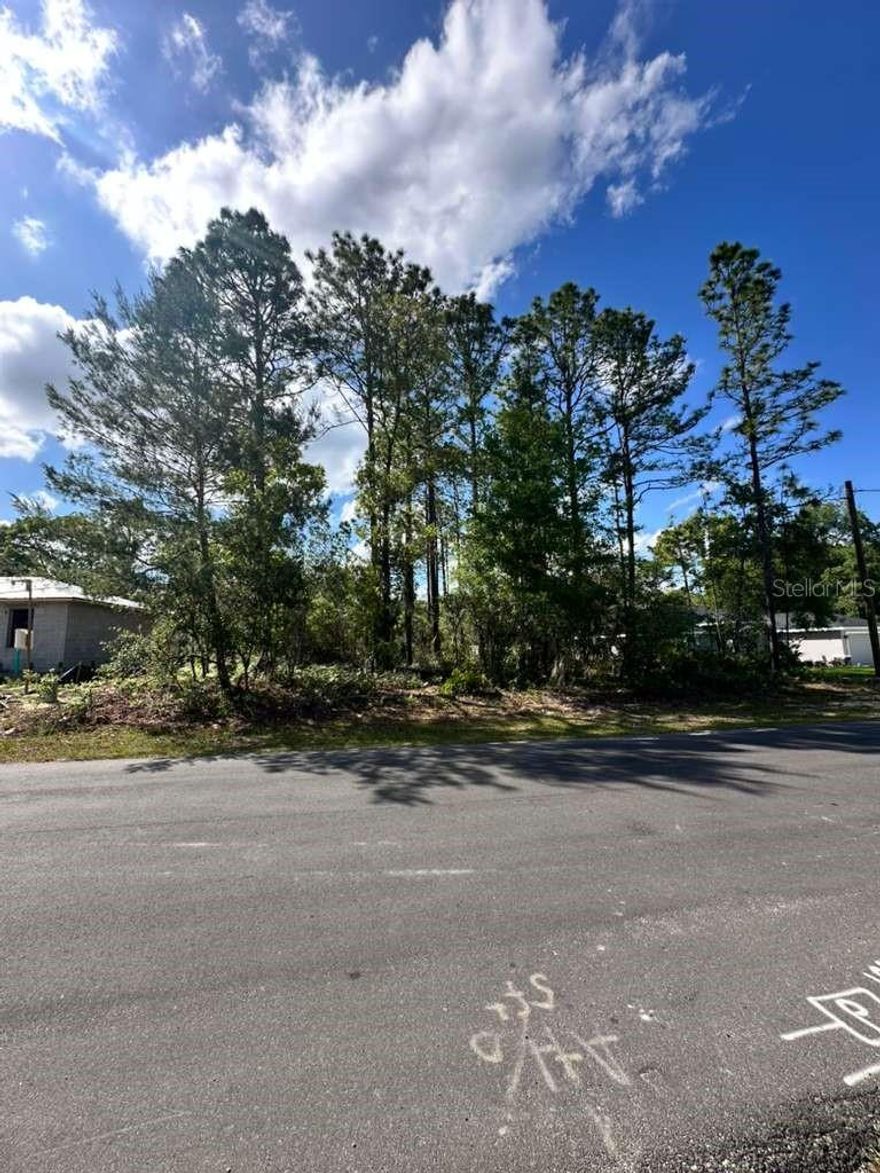 Build your dream home on this spacious vacant lot located in the desirable Citrus Springs community. This property offers a great opportunity with no HOA and convenient access to shopping, dining, schools, and outdoor recreation. Enjoy nearby parks, golf courses, and the natural beauty of the area while still being within a short drive to Ocala and the Gulf Coast. Don’t miss your chance to own land in a growing area!