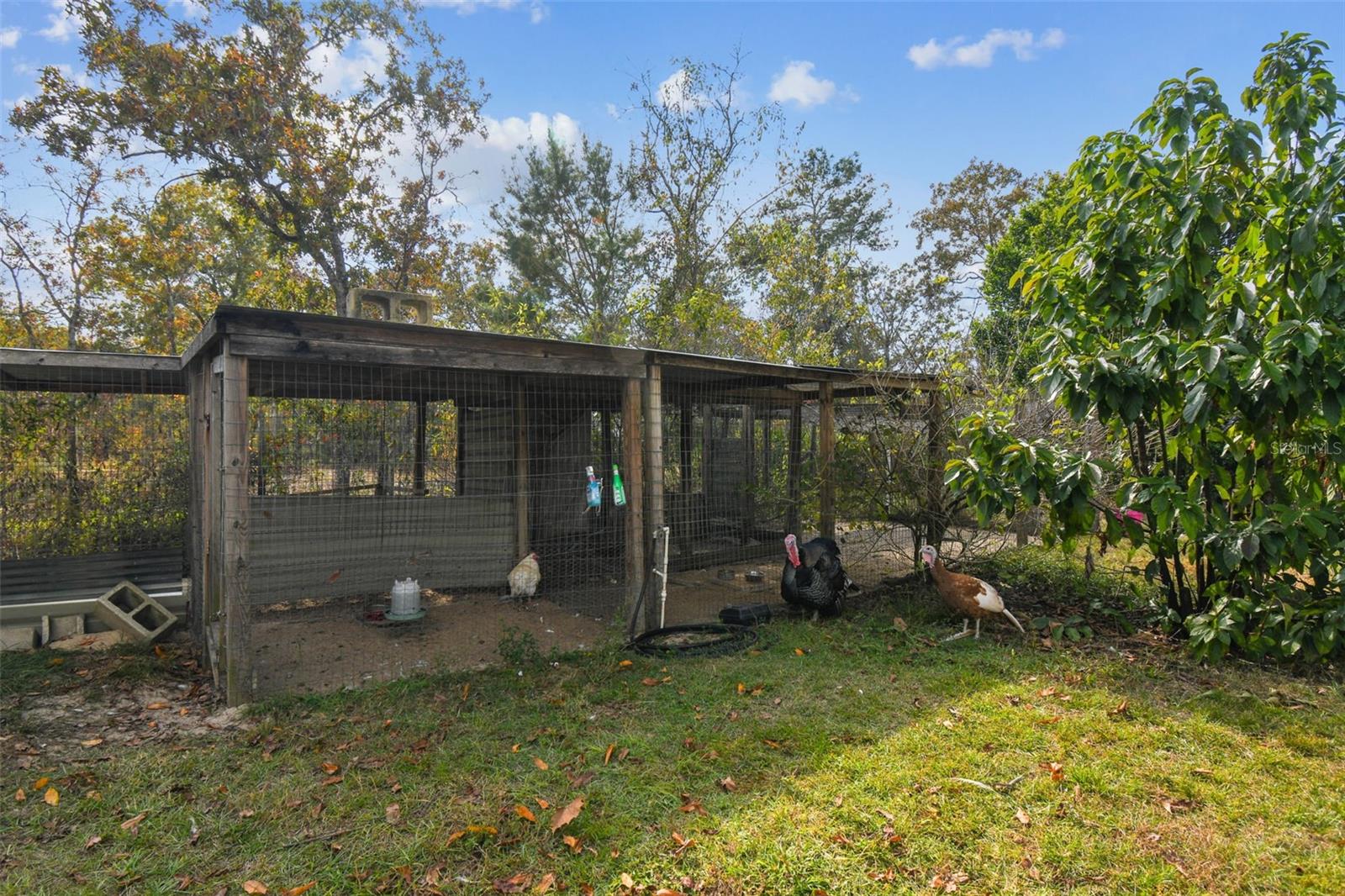 ROYAL HILLS - Residential