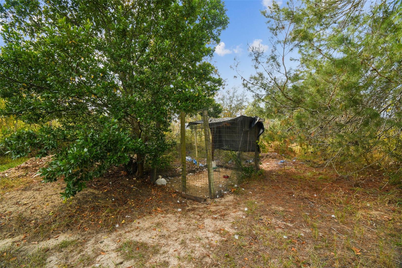 ROYAL HILLS - Residential