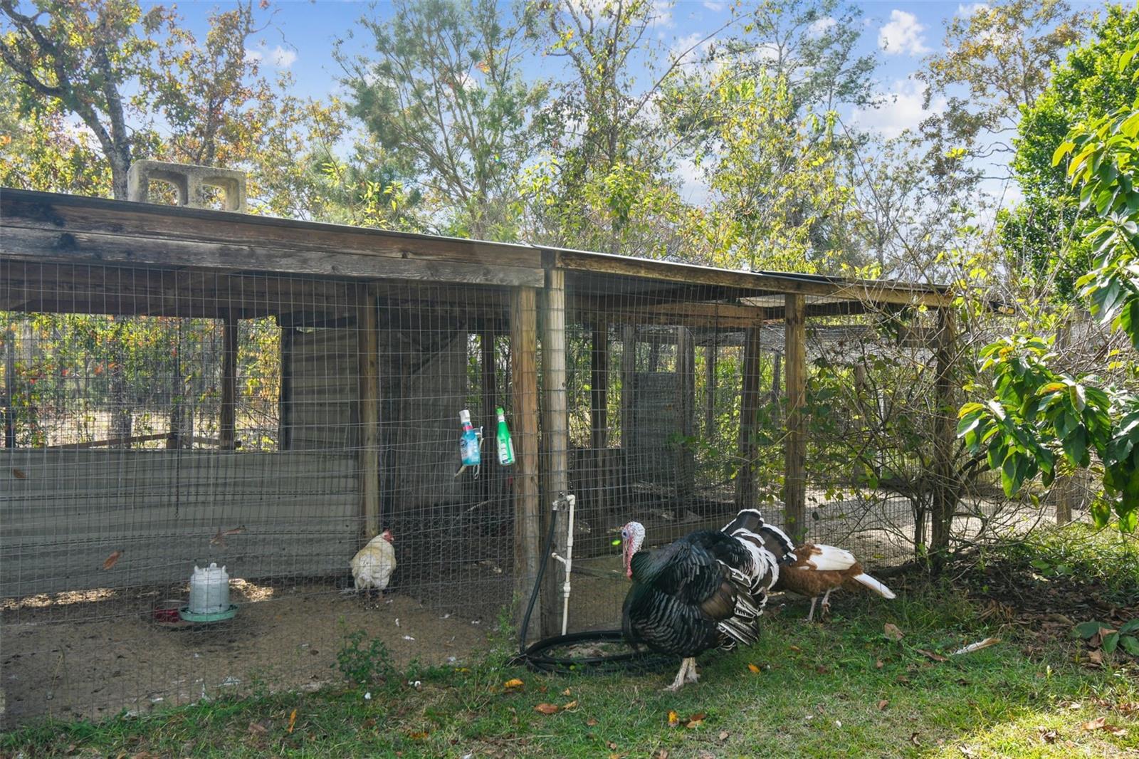 ROYAL HILLS - Residential