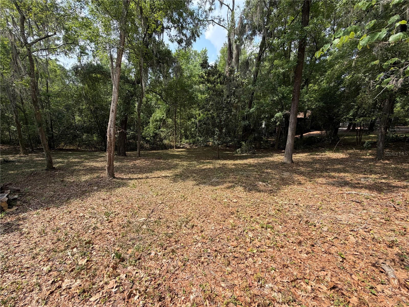 FLORIDA PARK - Land