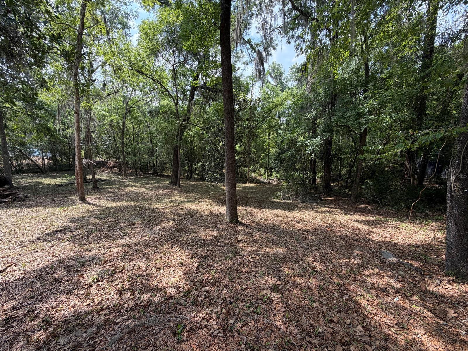 FLORIDA PARK - Land