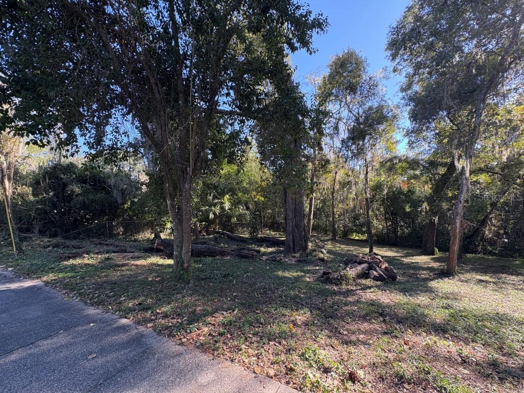 FLORIDA PARK - Land