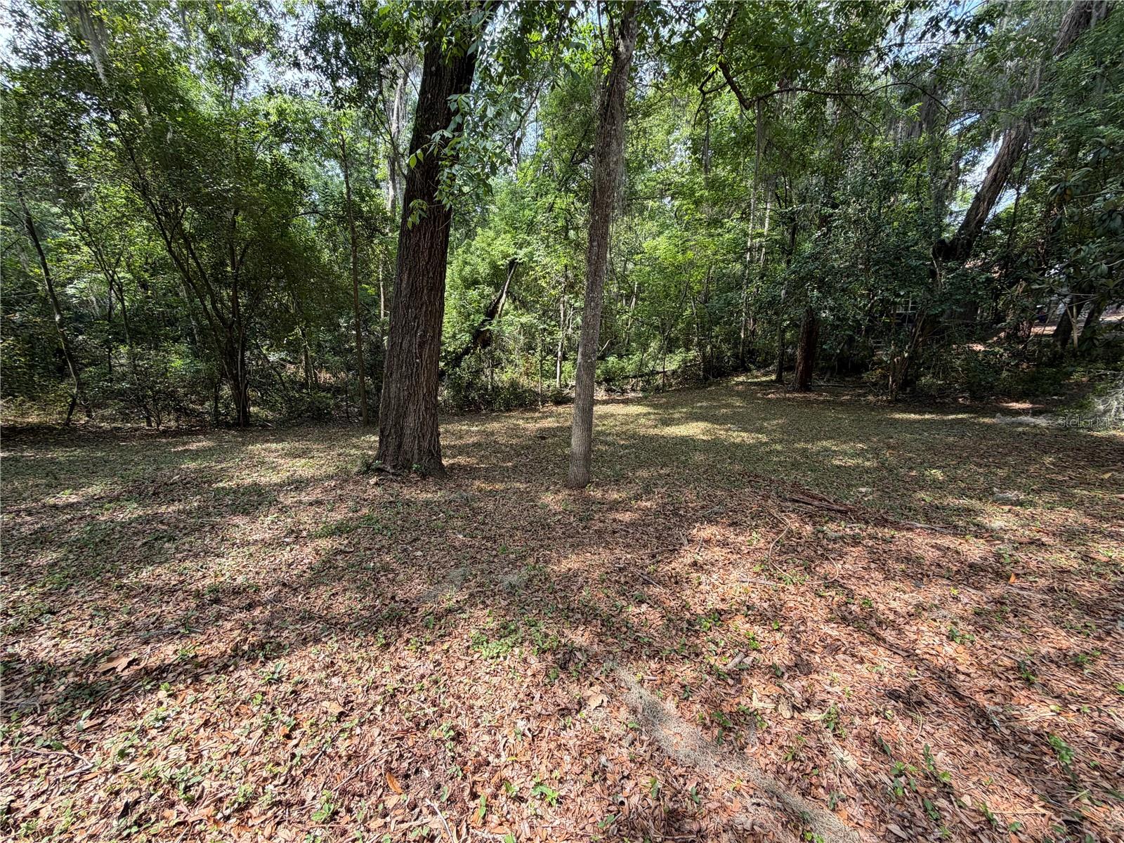 FLORIDA PARK - Land