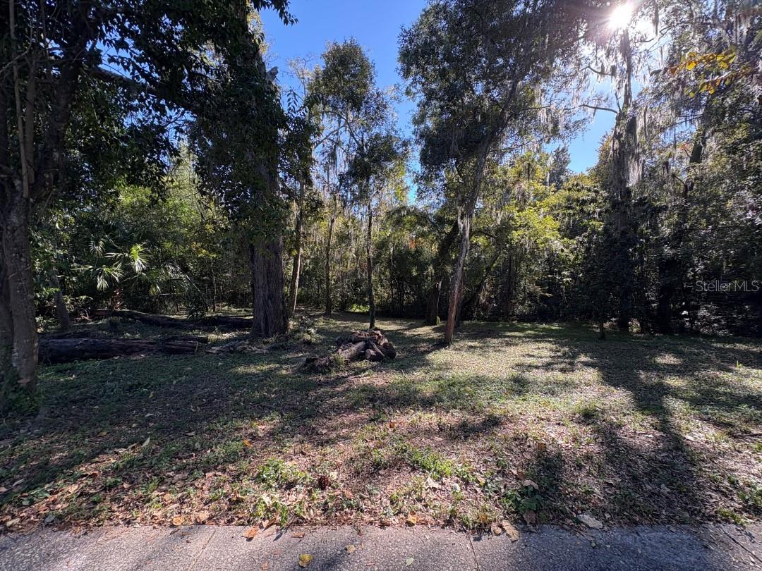 FLORIDA PARK - Land