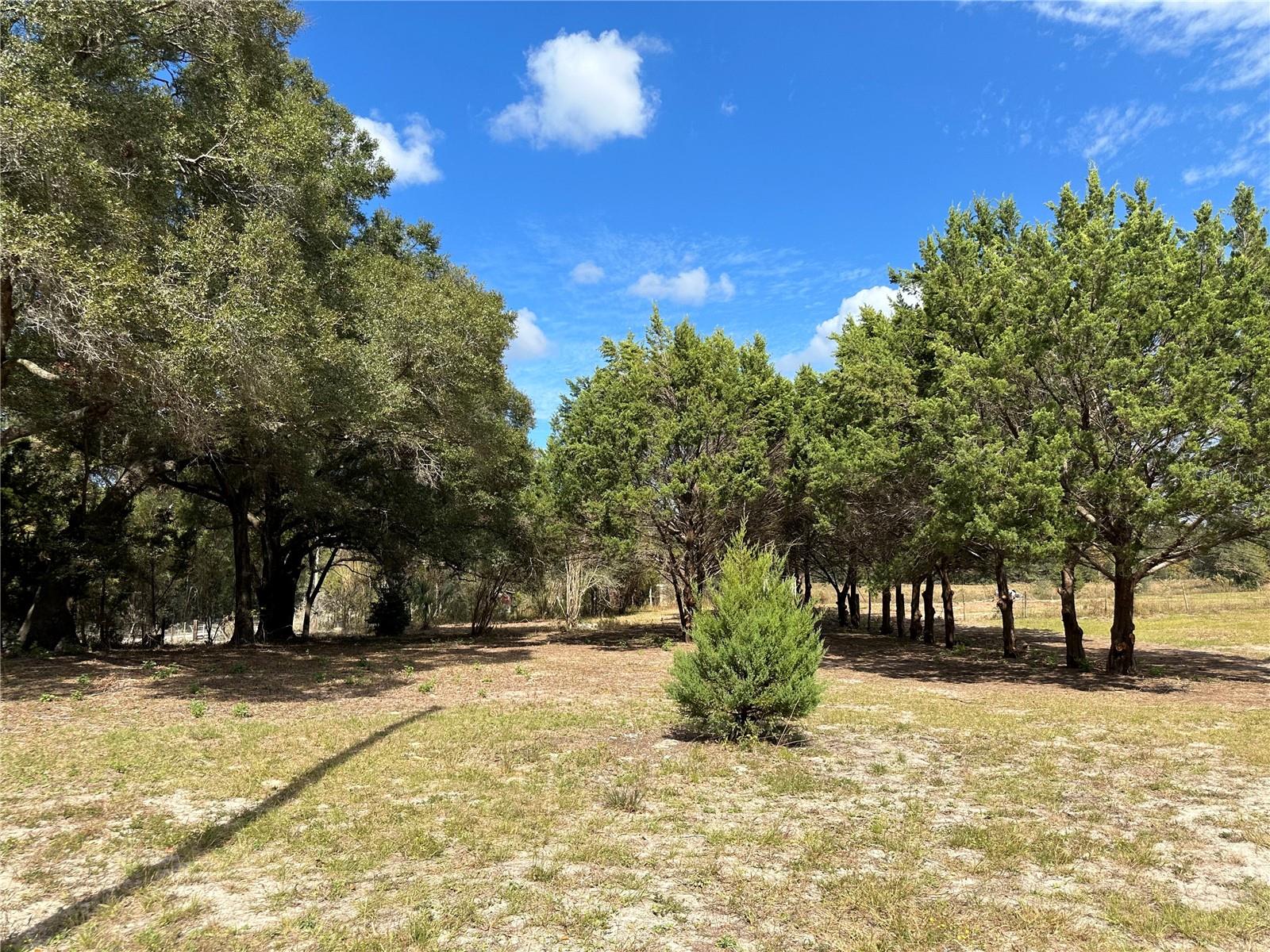 HIGH SPRINGS - Residential