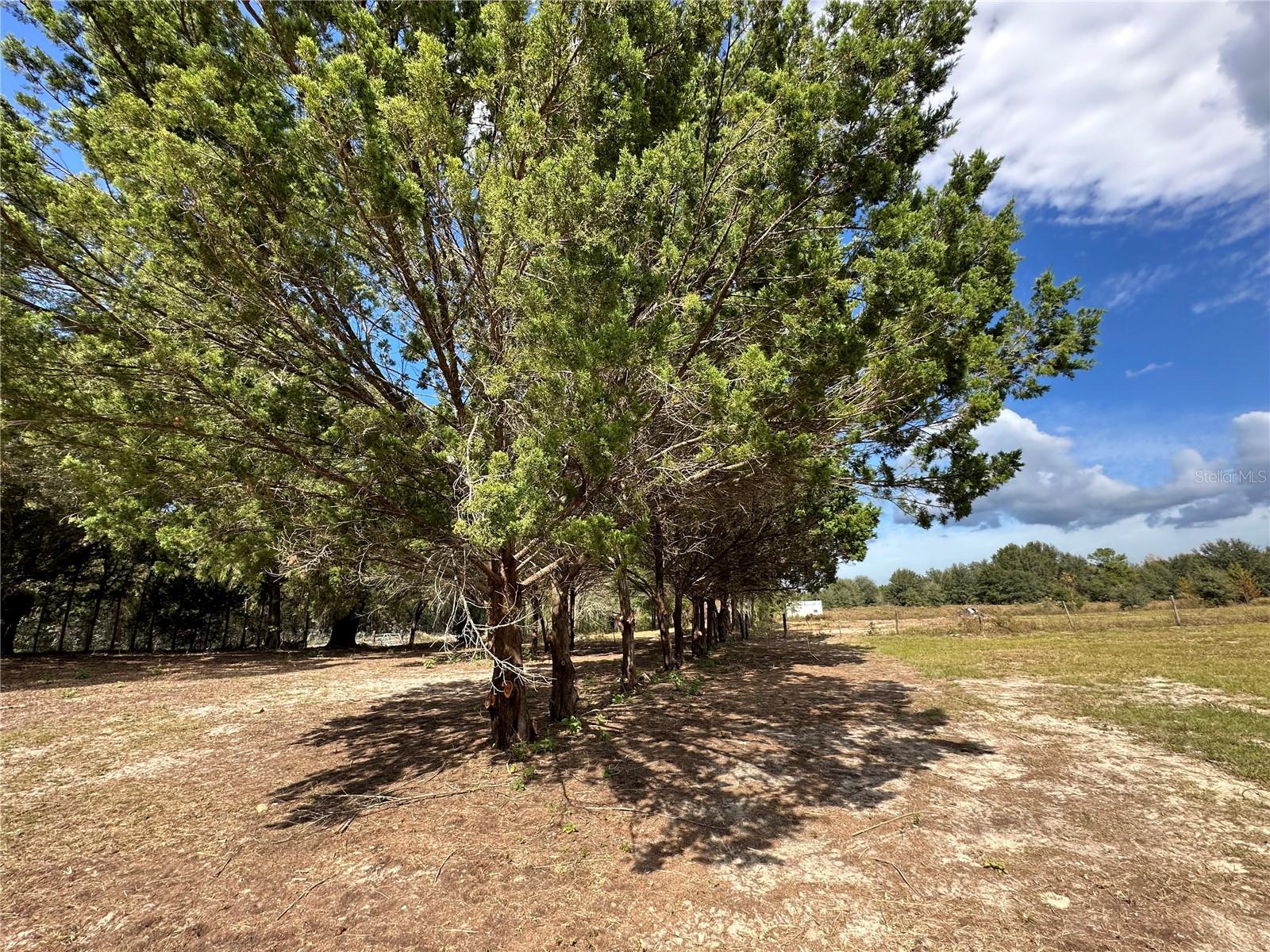 HIGH SPRINGS - Residential