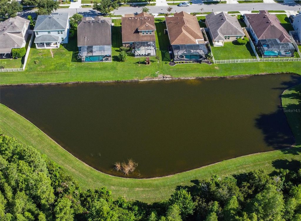 Photo of 21529 Southern Charm Drive, Land O Lakes, FL 34637 (MLS # TB8459038)