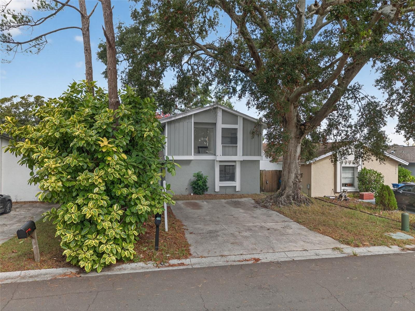 ROSEMOUNT VILLAGE UNIT IV REPL - Residential