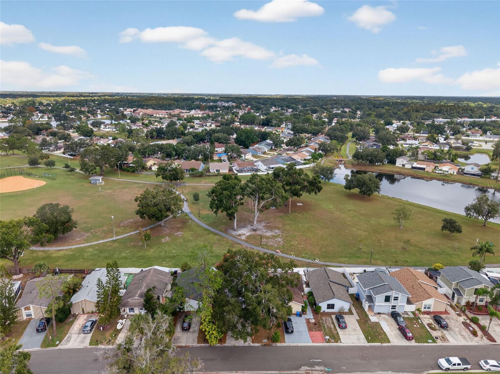 ROSEMOUNT VILLAGE UNIT IV REPL - Residential