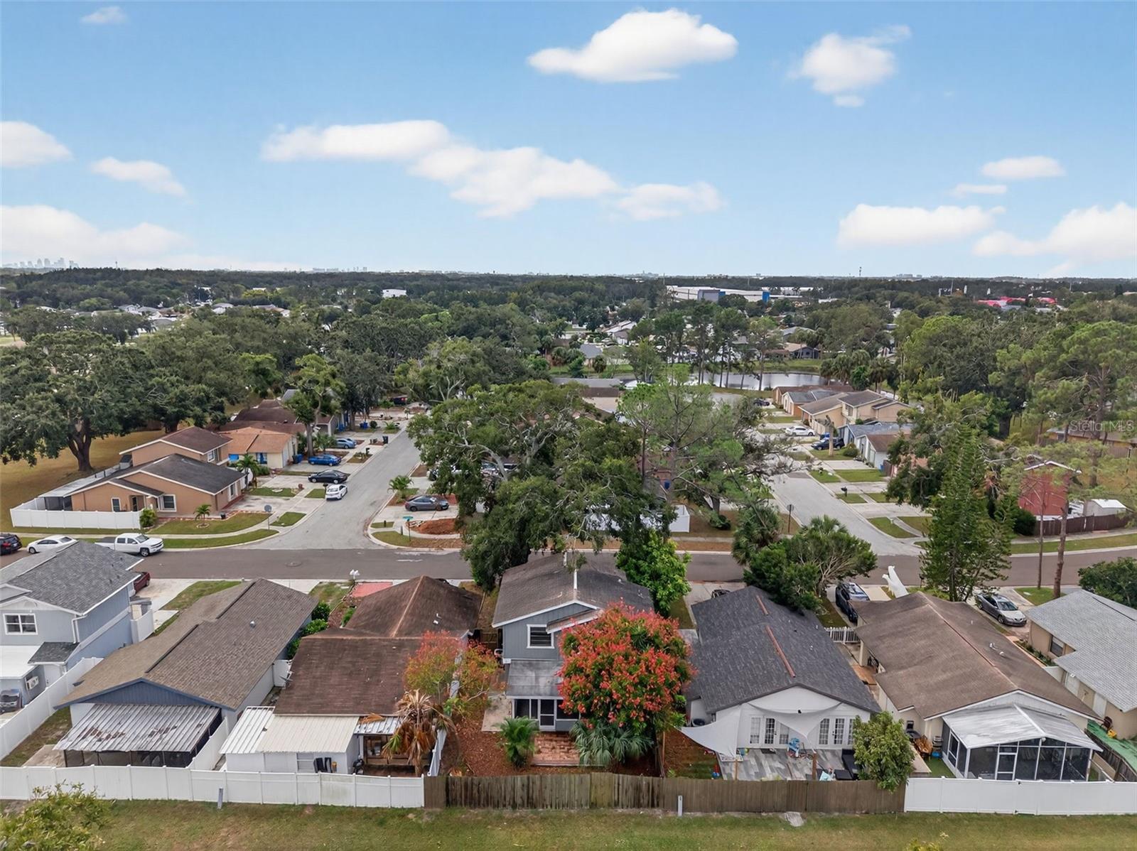 ROSEMOUNT VILLAGE UNIT IV REPL - Residential