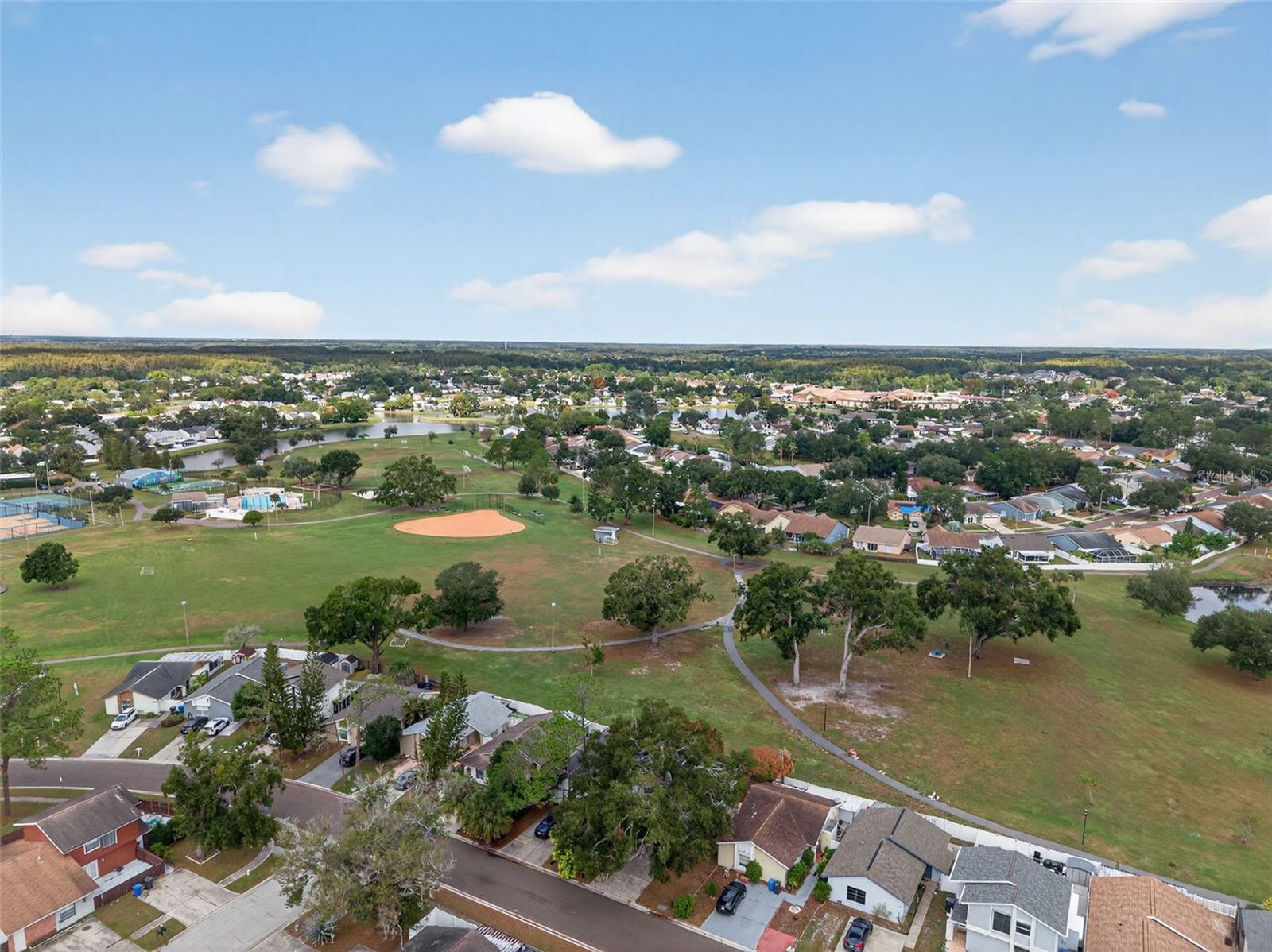 ROSEMOUNT VILLAGE UNIT IV REPL - Residential