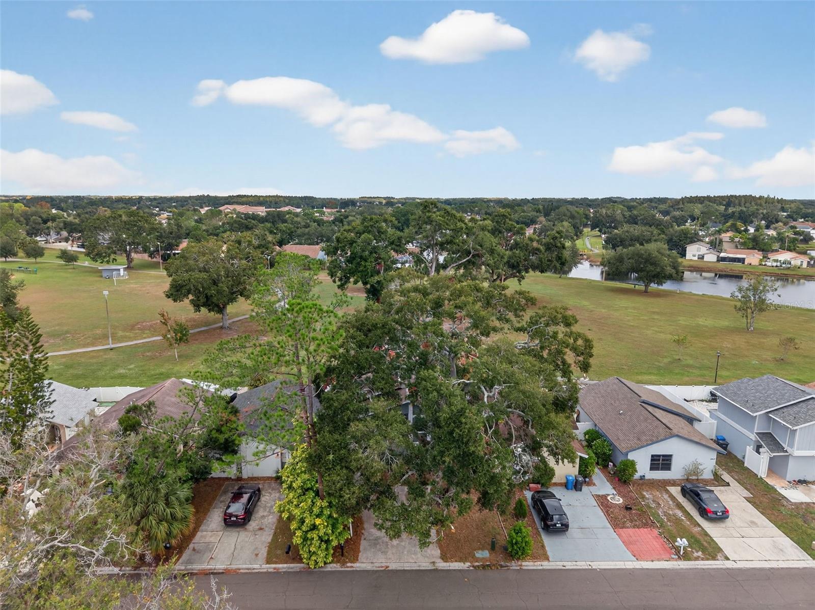 ROSEMOUNT VILLAGE UNIT IV REPL - Residential