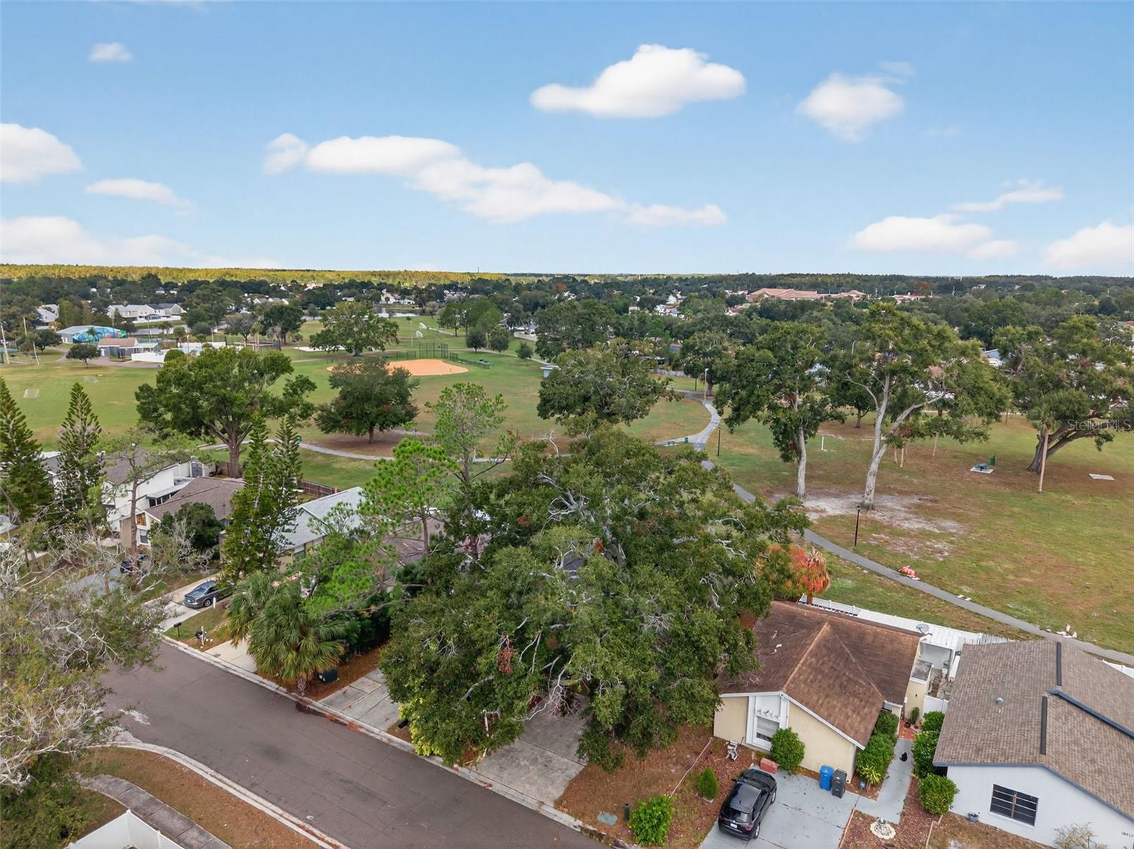 ROSEMOUNT VILLAGE UNIT IV REPL - Residential