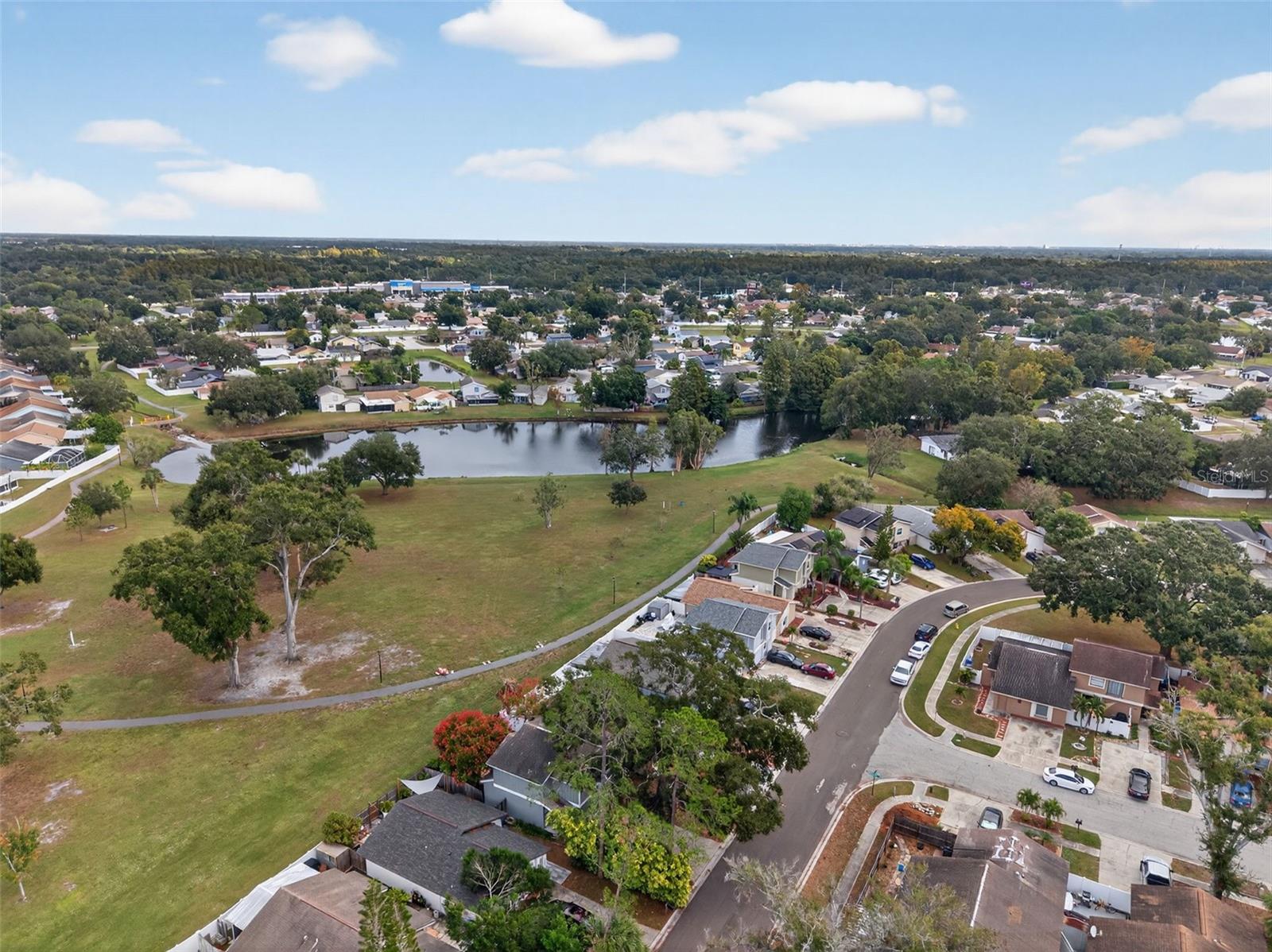 ROSEMOUNT VILLAGE UNIT IV REPL - Residential