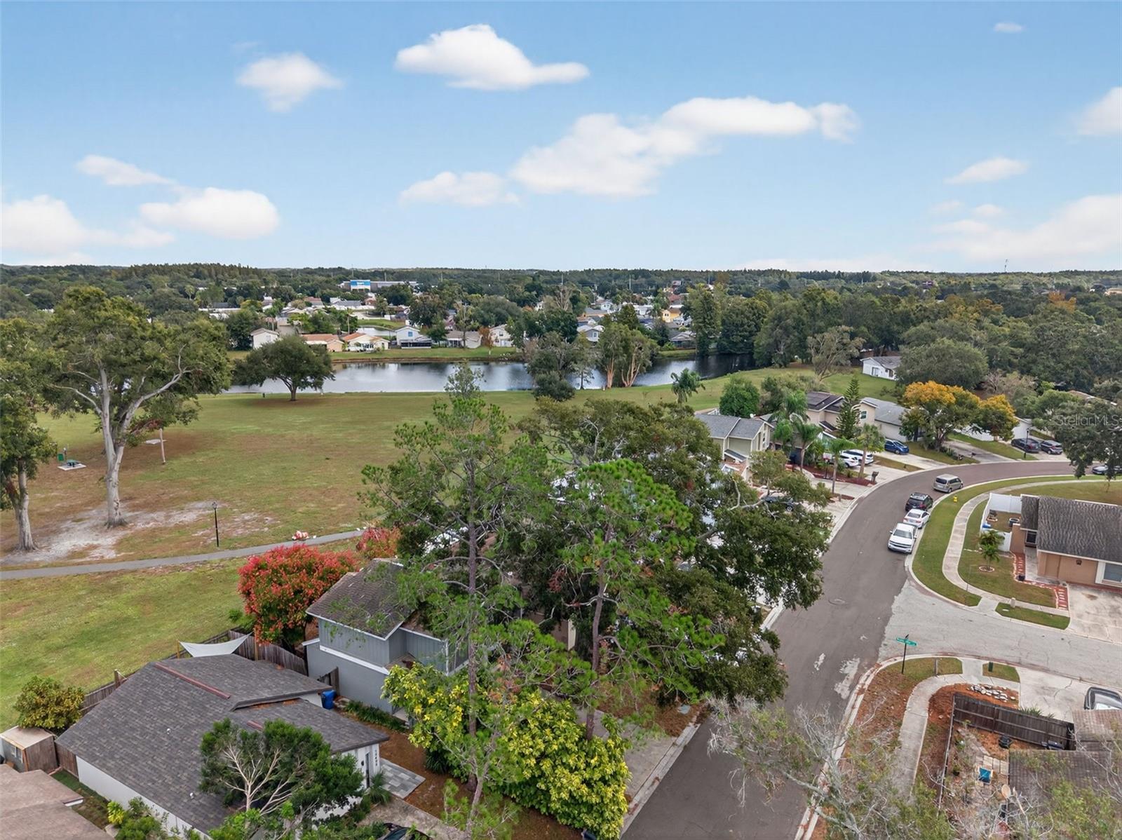 ROSEMOUNT VILLAGE UNIT IV REPL - Residential