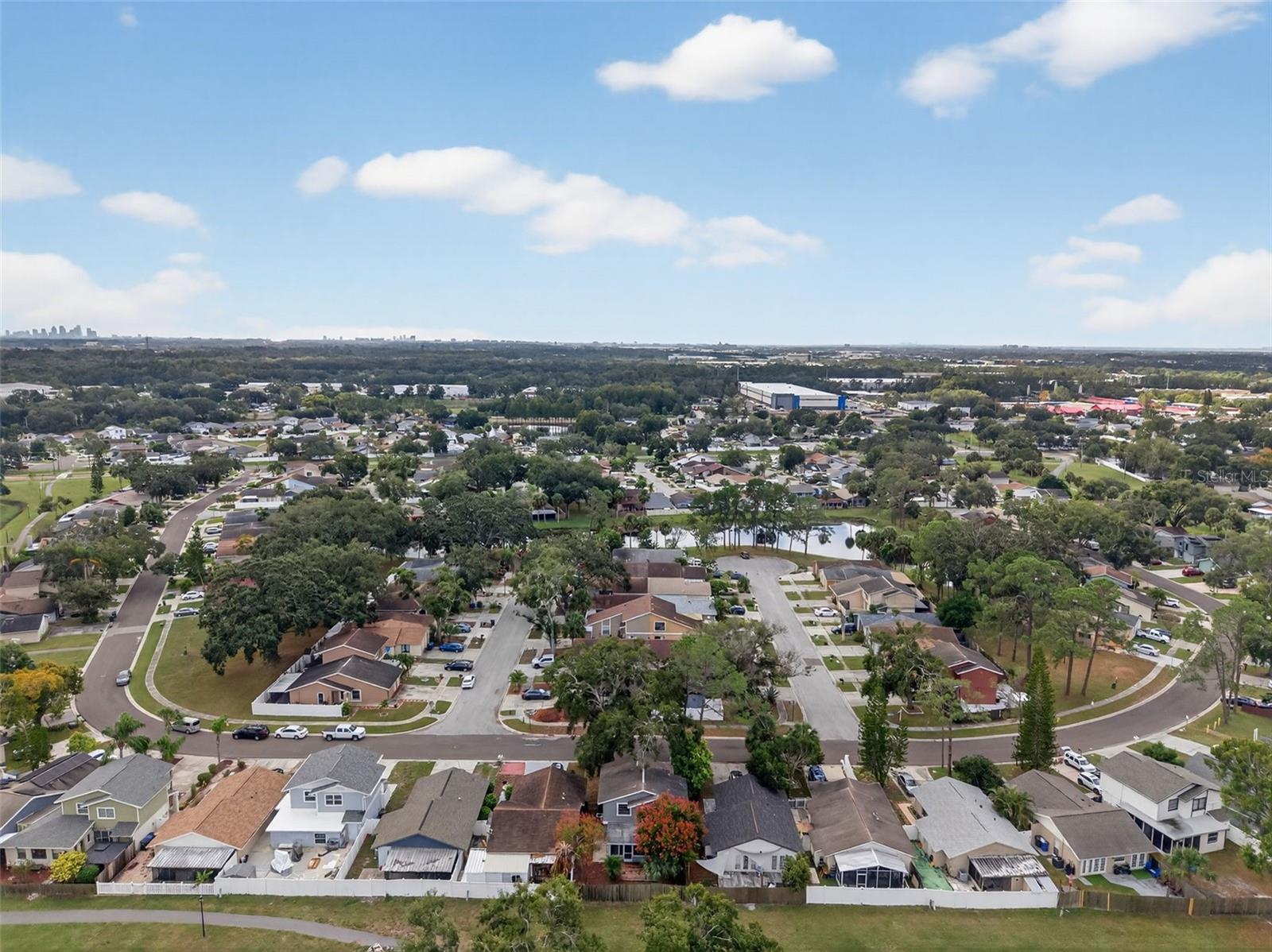 ROSEMOUNT VILLAGE UNIT IV REPL - Residential