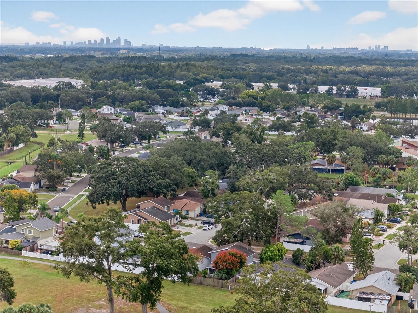 ROSEMOUNT VILLAGE UNIT IV REPL - Residential