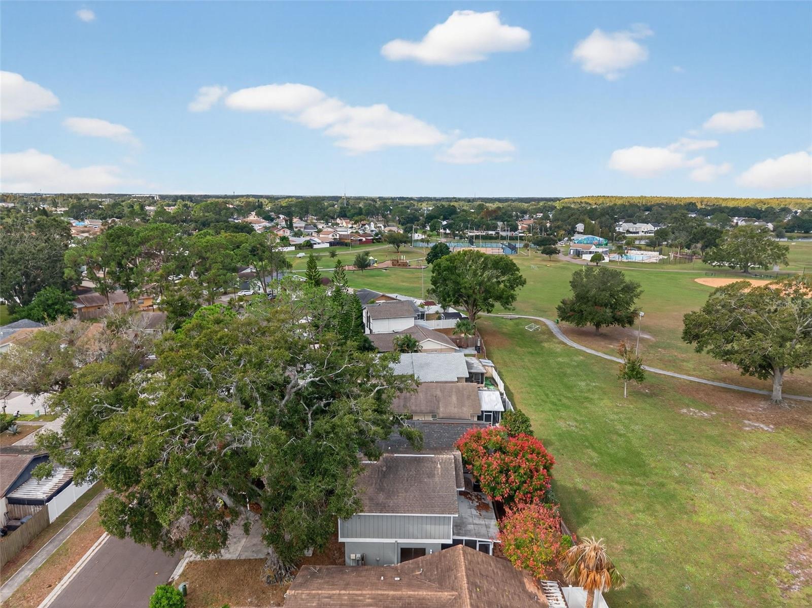 ROSEMOUNT VILLAGE UNIT IV REPL - Residential